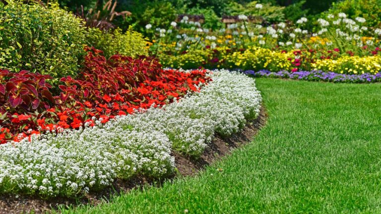 A residential home garden and landscaping arrangement in full bloom.