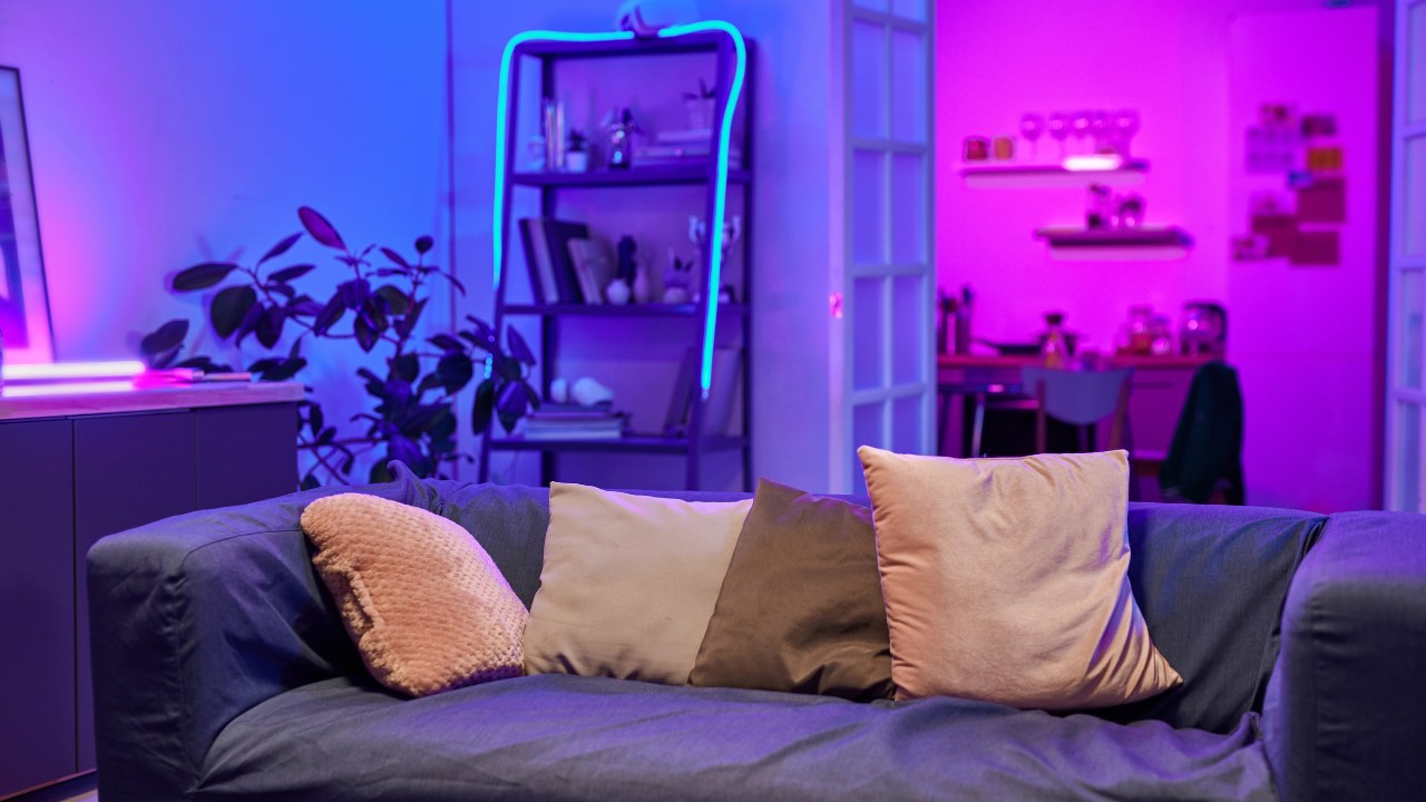 Comfortable sofa with row of soft cushions standing in the center of living room lit with neon light prepared for guests and home party. 