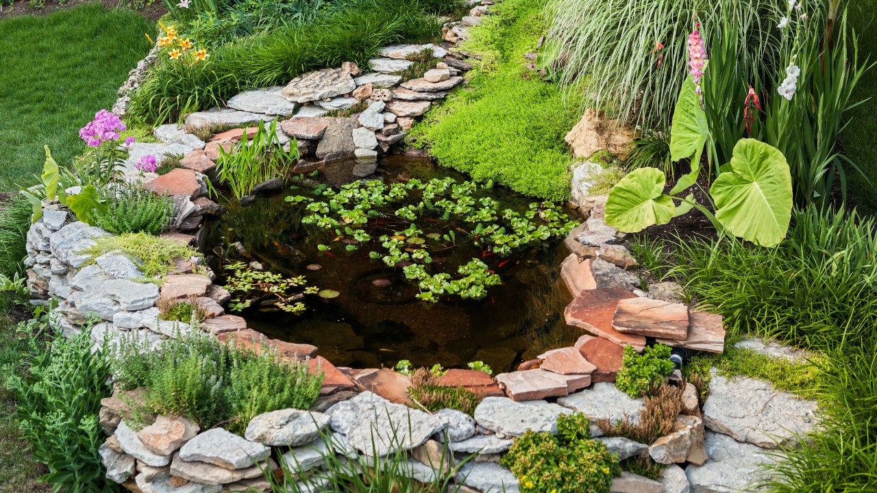 Beautiful pond in a backyard surrounded with stone during summer. 