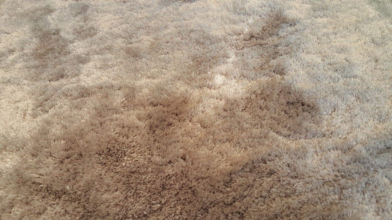 Close-up of retro shag carpet in a tan color. 