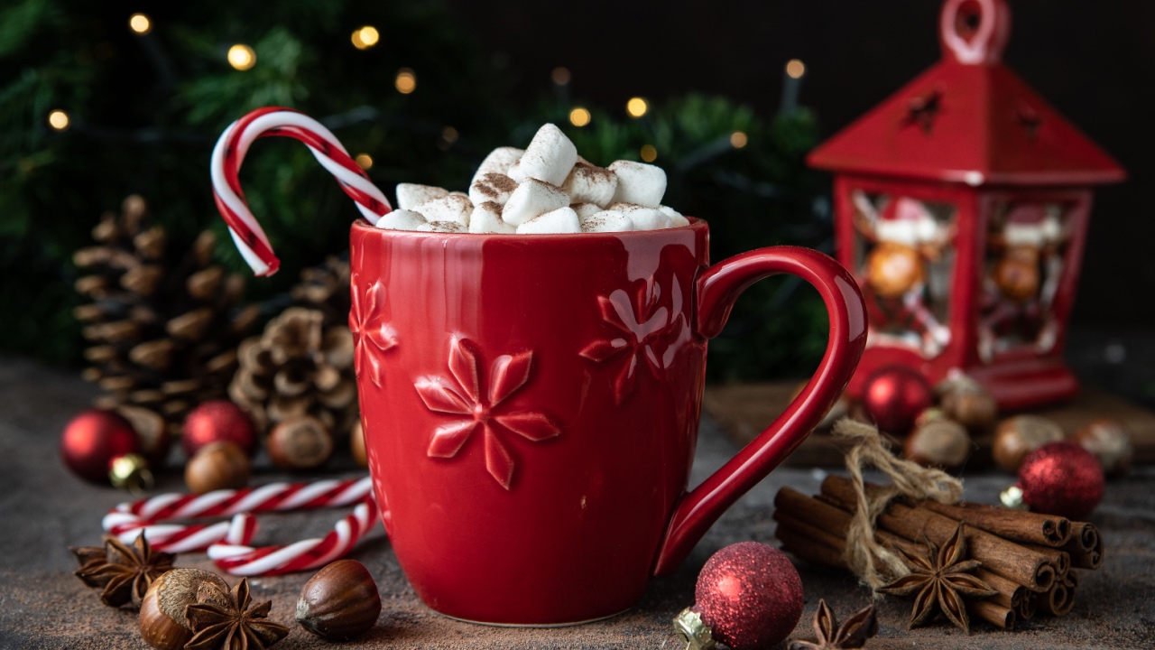 Red mug with hot chocolate, marshmallows and candy cane