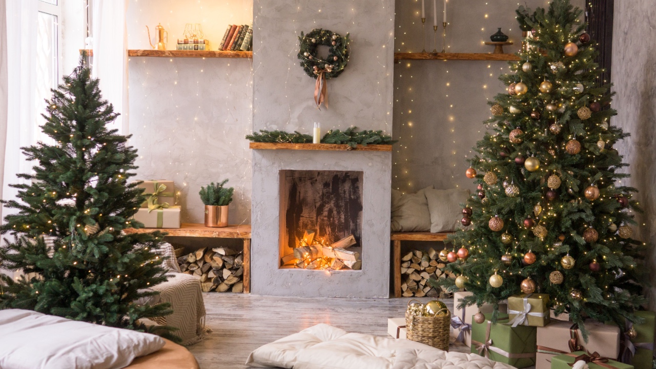 Holiday / Christmas decorations