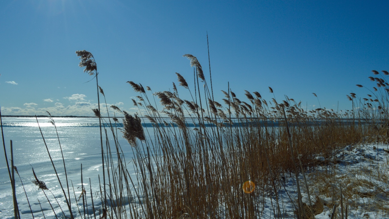 Mastic Beach, Long Island, New York