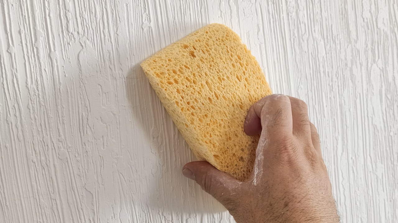 A masculine hand pressing a sponge up to a wall to paint. 