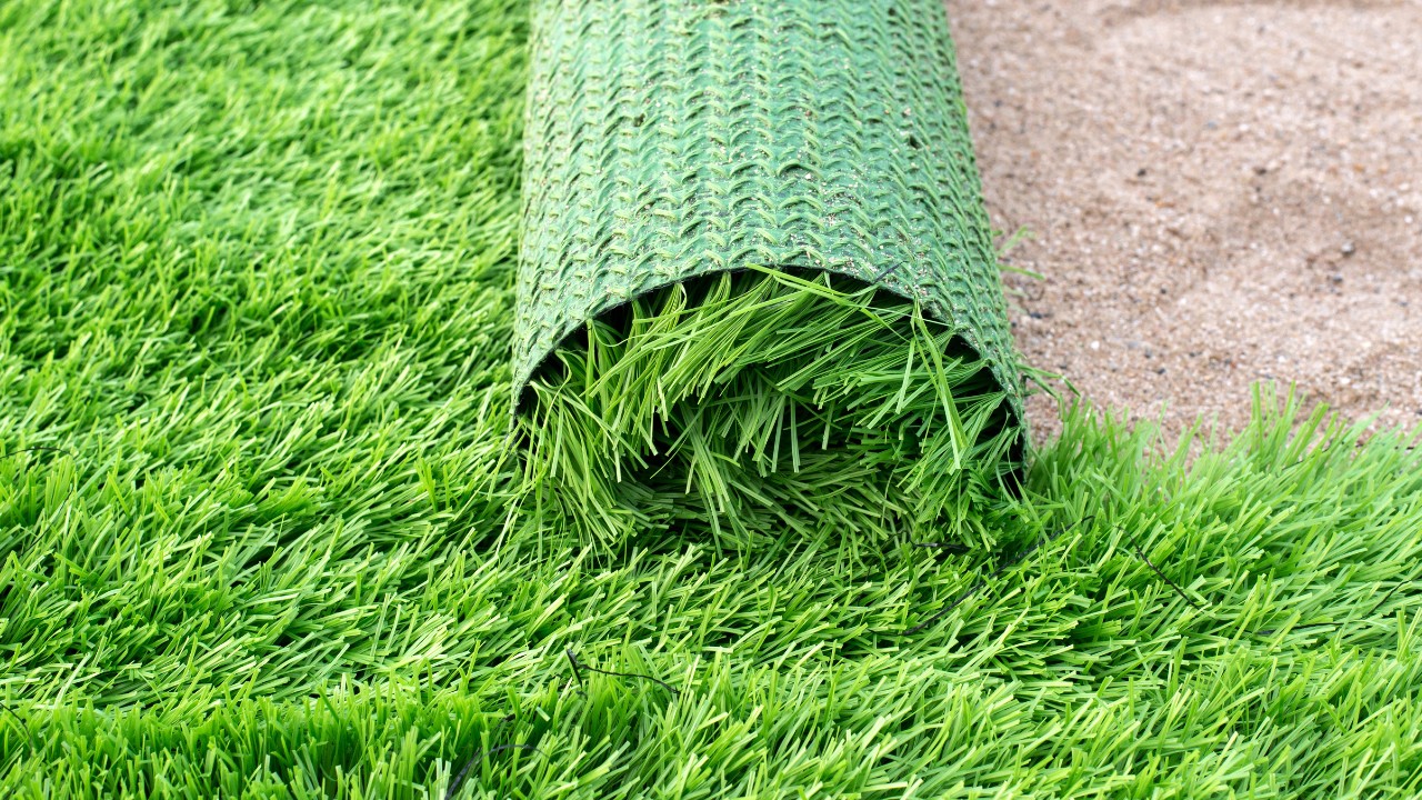 Close-up of artificial green grass being rolled out. 