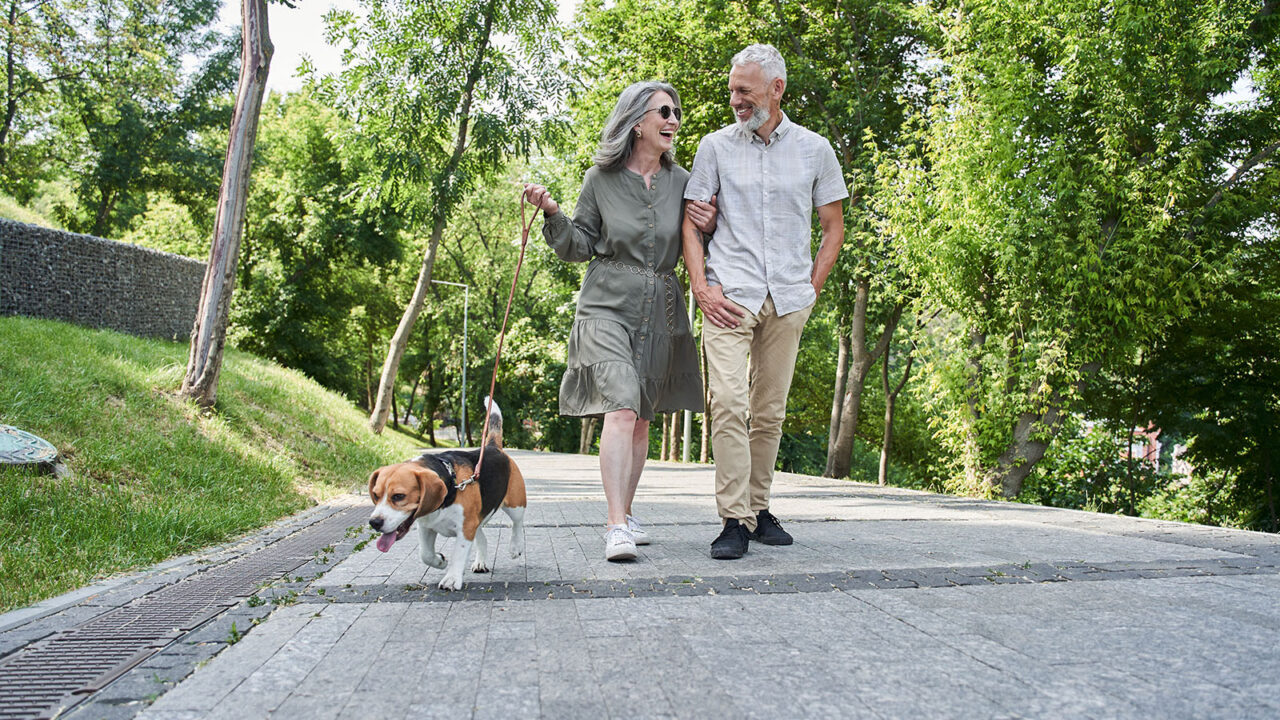 Couple,Of,Pensioner,Enjoying,Summer,Walking,While,Going,Through,The