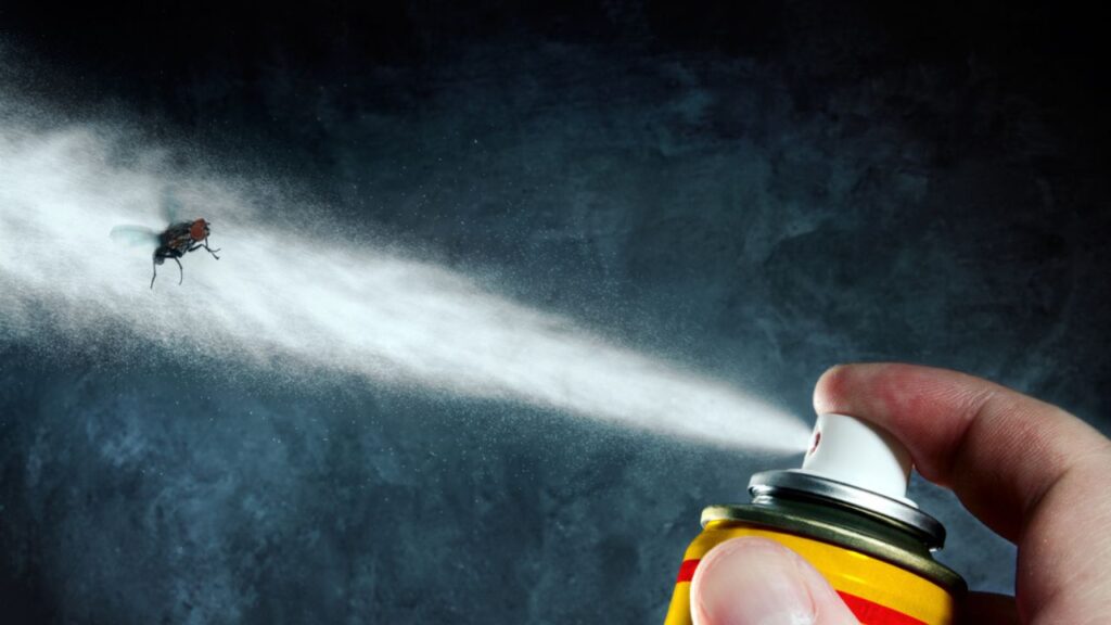 Man spraying on a fly a poisonous aerosol. Fly spray.